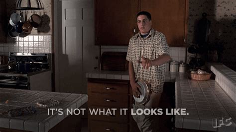 american pie gif|American Pie GIFs on GIPHY